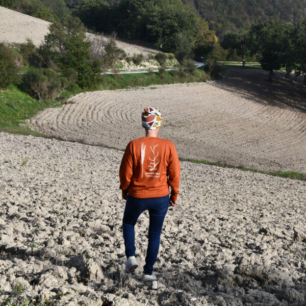 FELPA Panoramika - immagine 3